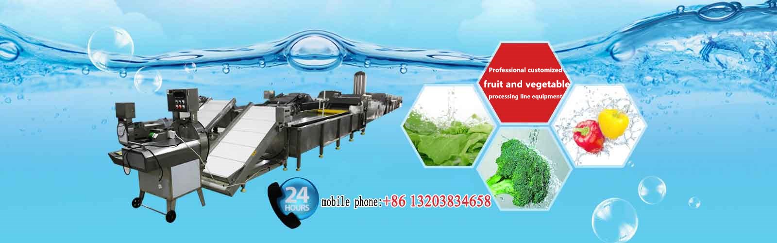fruit vegetable processing line equipment 
