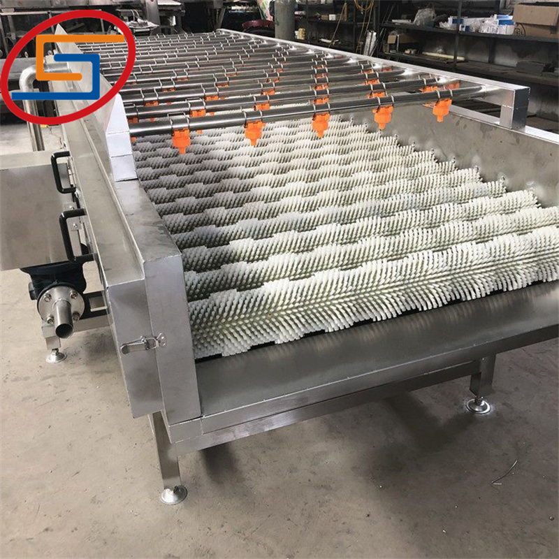 roller brush cleanig machine